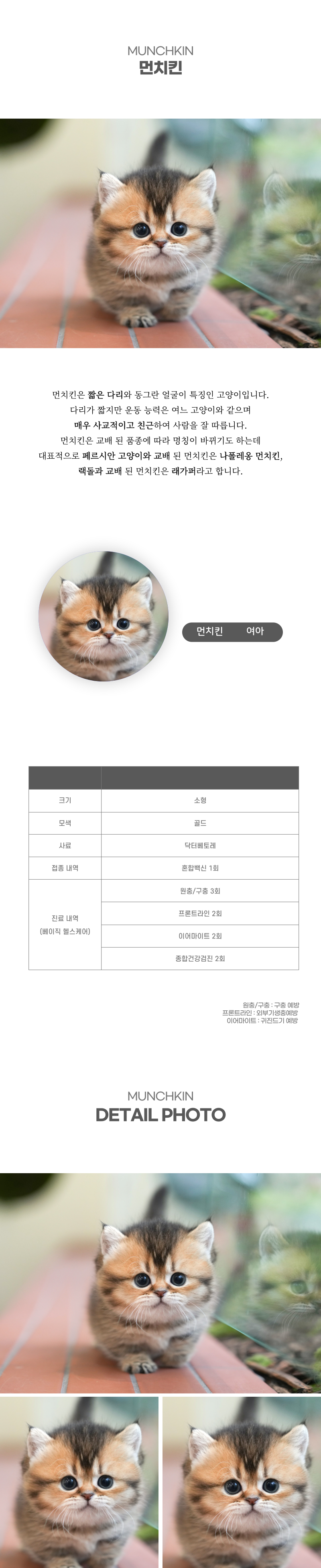 먼치킨_상세이미지_2